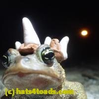 /home//u458753944/public_html/sourcegallery//////Roxborough Toad Detour/2013-2019/2018/2018-04-13/P4130021.JPG